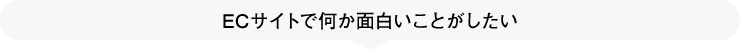 ECサイトで何か面白いことがしたい