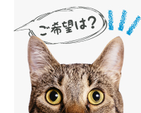 ご希望は?